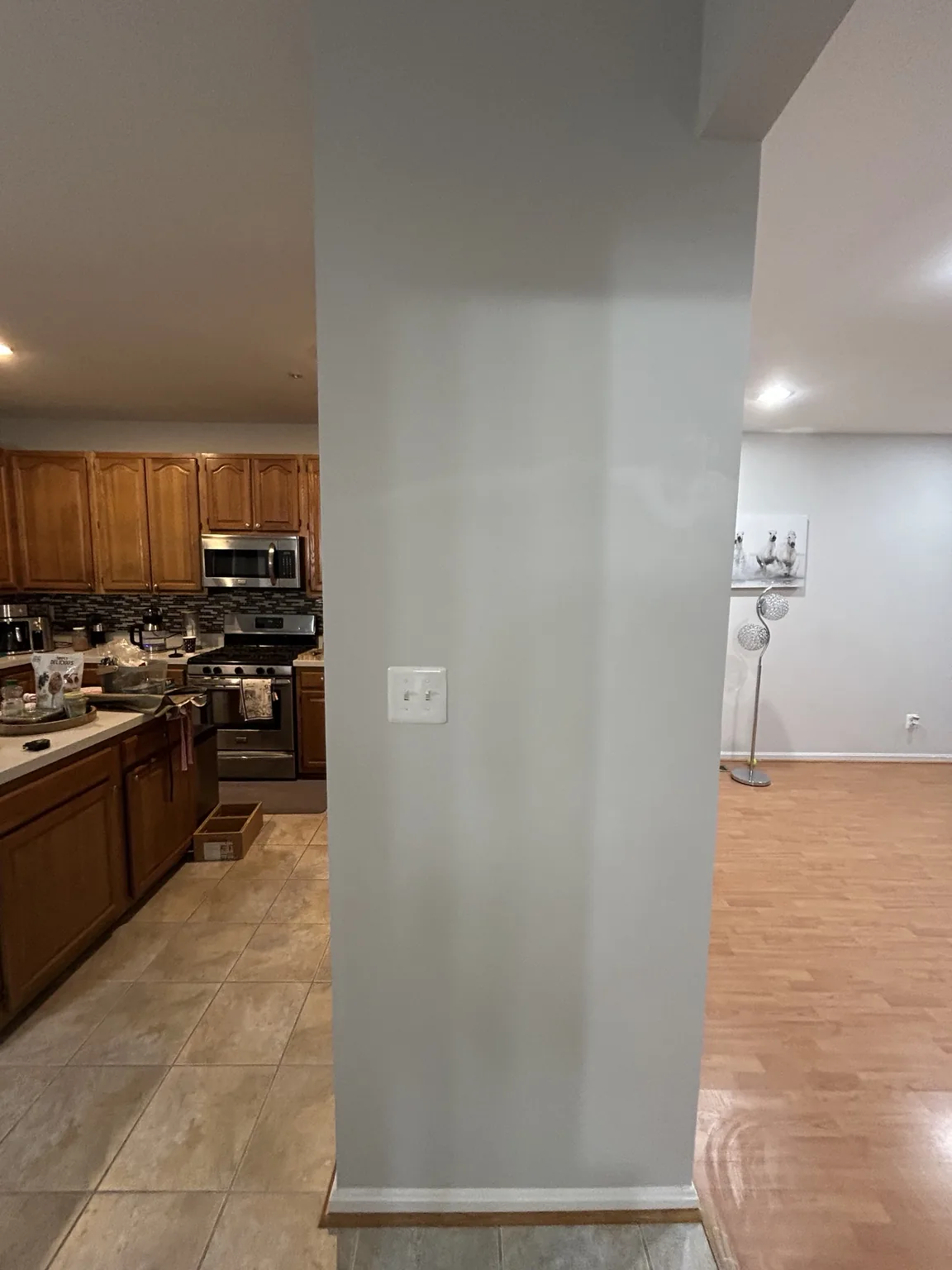 Framing, Drywall Repair & Paint